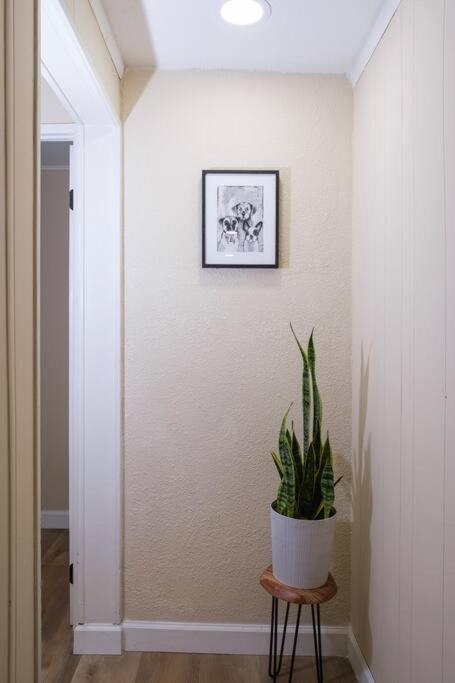 House Near Tampa Zoo And Busch Gardens, Free High Speed Wifi 빌라 외부 사진